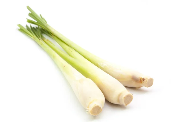 Lemon grass on white — Stock Photo, Image