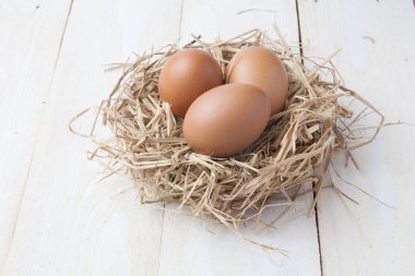 karanlık vintage ahşap üzerinde yuvadaki yumurta 