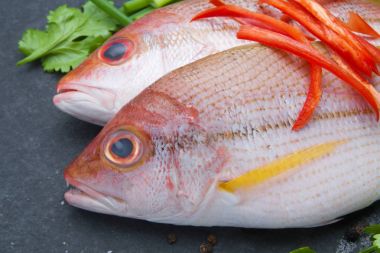 taze balık fileto aromatik otlar baharat ile lezzetli bölümü