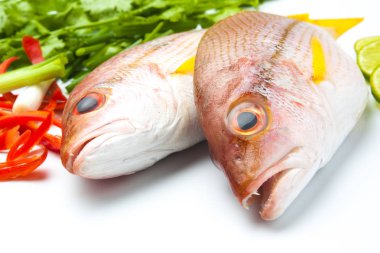 Yakın çekim taze balık fileto aromatik otlar baharatlar ile 