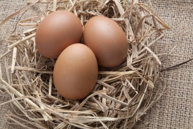 eski çuval üzerinde saman yuvadaki yumurta