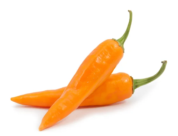 Oranžový hot chilli izolované — Stock fotografie