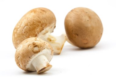 izole taze petrol kahverengi sürüm 