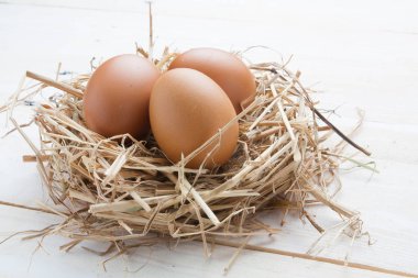 karanlık vintage ahşap üzerinde yuvadaki yumurta 