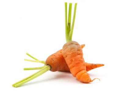 bebek havuç olgunlaşmamış havuç