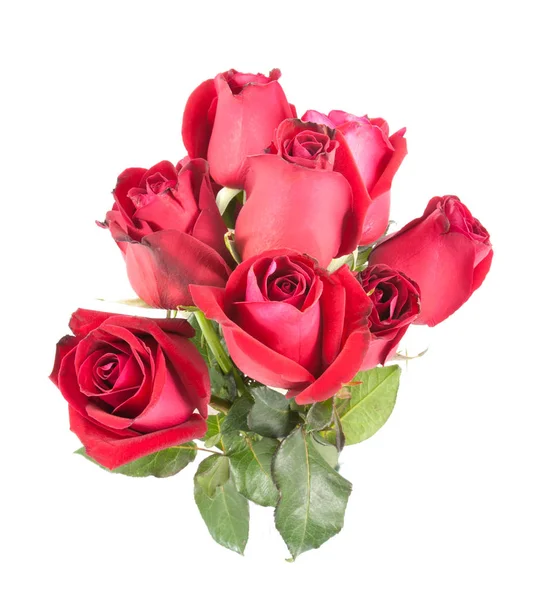 Red roses bouquet — Stock Photo, Image