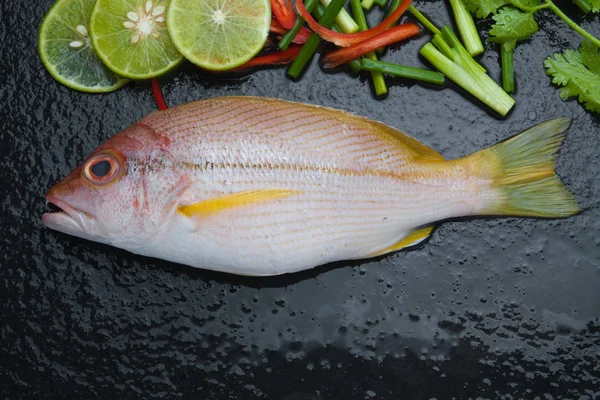 Deliciosa porção de filé de peixe fresco com especiarias aromáticas de ervas — Fotografia de Stock