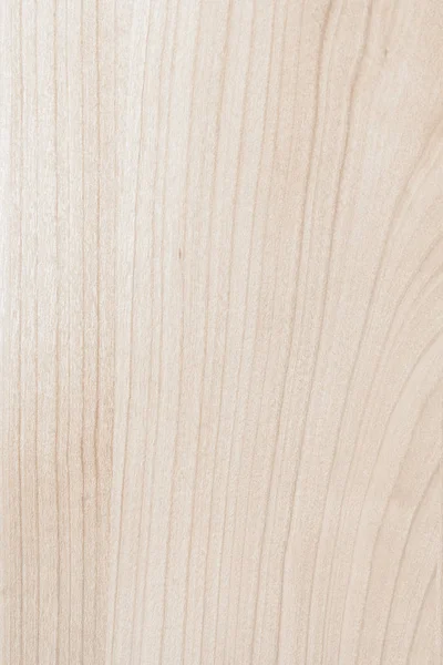 Blonde Holzstruktur — Stockfoto