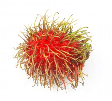 taze rambutan izole