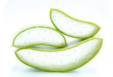 vers blad Aloë vera geïsoleerd