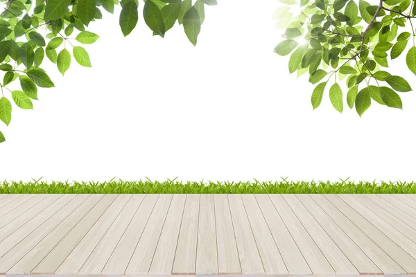 Wiosną świeżych zielonych liści z podłogi z drewna — Zdjęcie stockowe