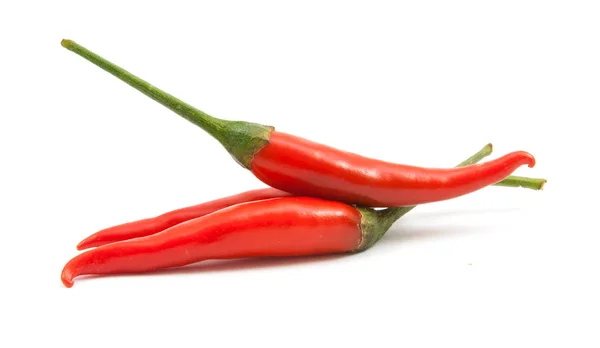 Chiles rojos vista de cerca aislado — Foto de Stock