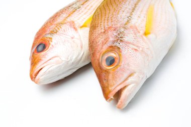 taze balık izole lezzetli bölümü