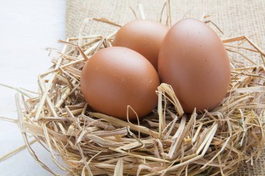 karanlık vintage ahşap üzerinde yuvadaki yumurta 