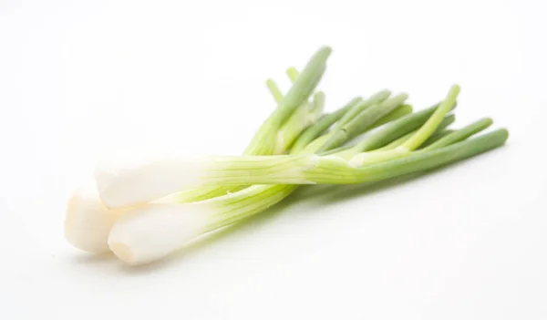 Colección de cebolla verde en el blanco — Foto de Stock
