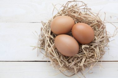 karanlık vintage ahşap üzerinde yuvadaki yumurta 