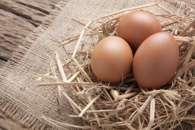 eski ahşap saman yuvadaki yumurta 