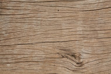 kabuk ahşap doku atural kullanmak 