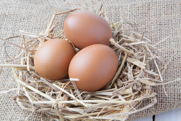 karanlık vintage ahşap üzerinde yuvadaki yumurta 