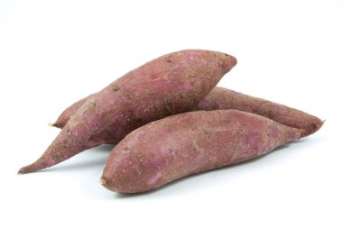 Beyaz arka plan üzerinde izole tapyoka bitkiler manyok portre