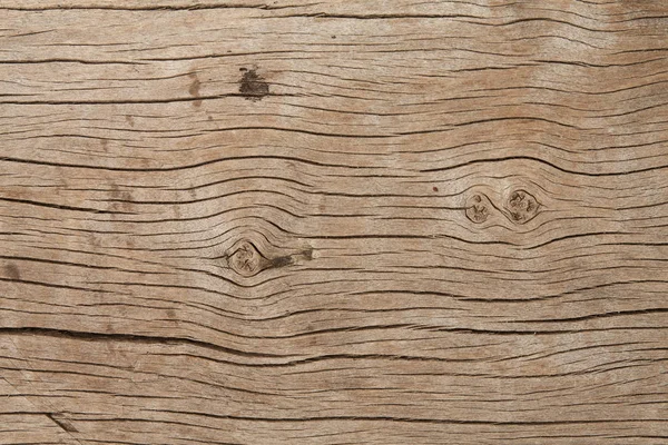 Текстура кори деревини використовується як неактивна — стокове фото