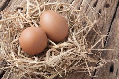 eski ahşap saman yuvadaki yumurta 