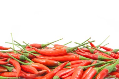 izole kırmızı biber biber