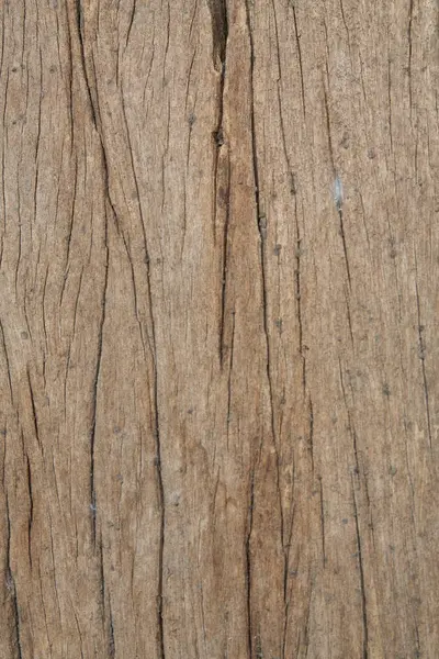 Textura del uso de la madera de corteza como natural — Foto de Stock