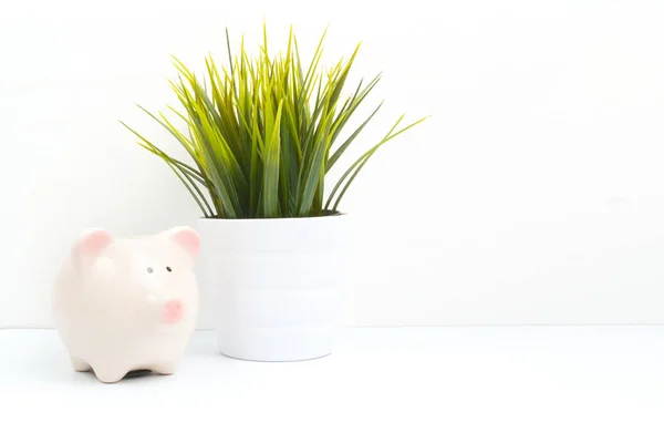 Resepsiyon ahşap üzerine pembe bir kumbara 