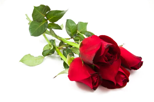 Bouquet di rose rosse — Foto Stock