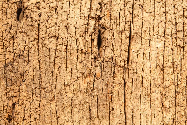 Vecchio pezzo di legno intemperie — Foto Stock