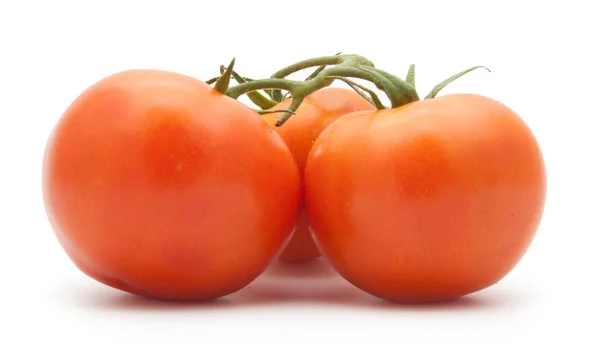 Tomates isolados em branco — Fotografia de Stock