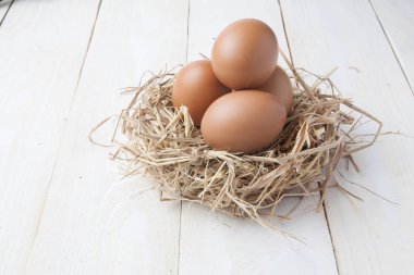 karanlık vintage ahşap üzerinde yuvadaki yumurta 