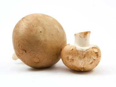 izole taze petrol kahverengi sürüm 