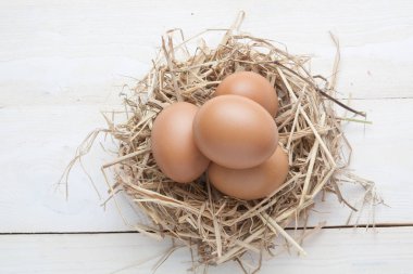 karanlık vintage ahşap üzerinde yuvadaki yumurta 