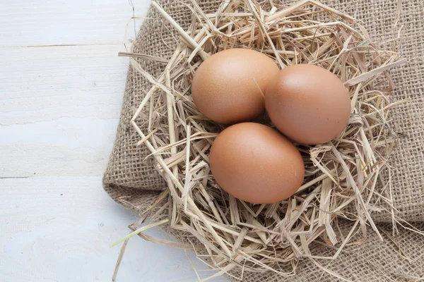 karanlık vintage ahşap üzerinde yuvadaki yumurta 