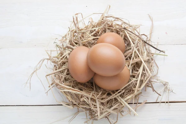karanlık vintage ahşap üzerinde yuvadaki yumurta 