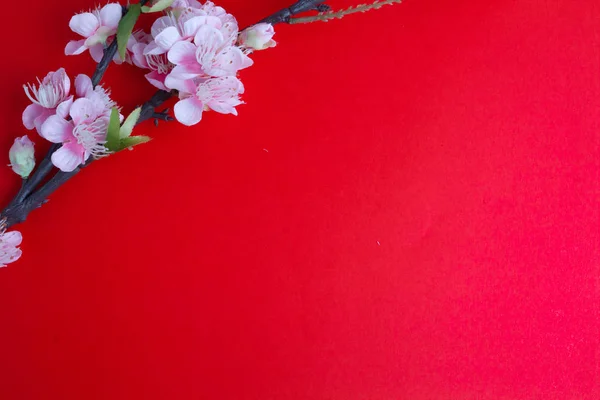Flor de ciruela rosa sobre rojo — Foto de Stock