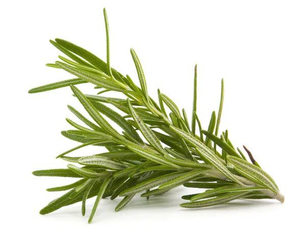 Rosemary isolated on white — Stock Photo, Image