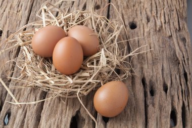 eski ahşap saman yuvadaki yumurta 