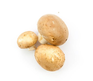 izole taze petrol kahverengi sürüm 