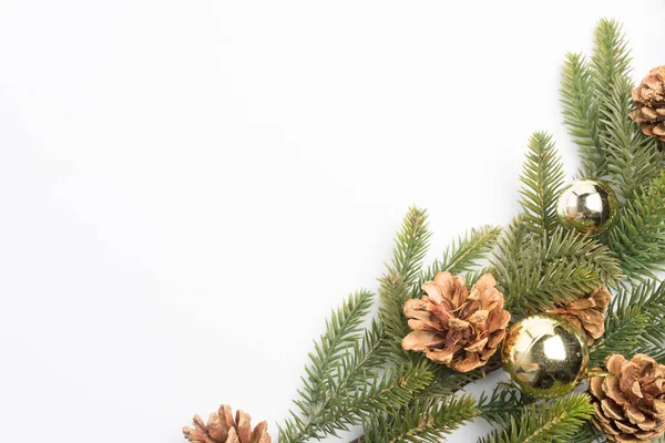 Noel arka plan çam yaprakları