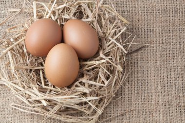 eski çuval üzerinde saman yuvadaki yumurta