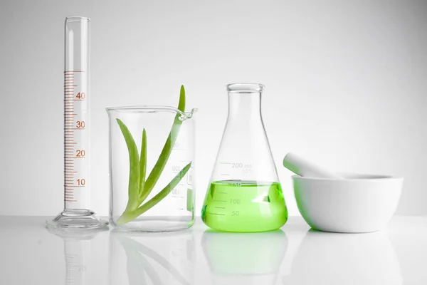 Рослинна медицина натуральний органічний і науковий скляний посуд — стокове фото