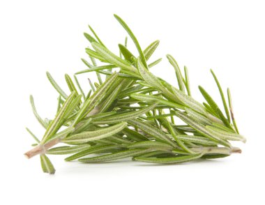 Biberiye beyazda izole edilmiş 