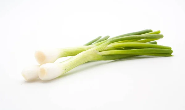 Green onion isolated — Stock Photo, Image
