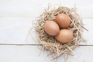 karanlık vintage ahşap üzerinde yuvadaki yumurta 