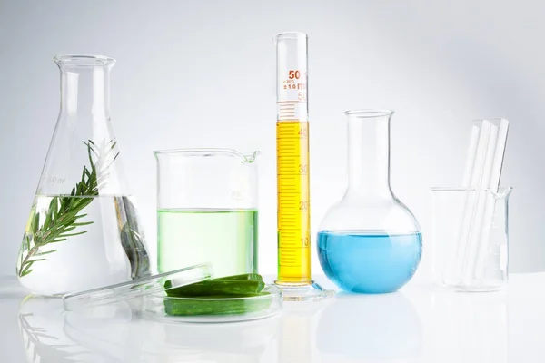 Gyógynövény természetes szerves és tudományos üvegáru — Stock Fotó