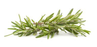 Biberiye beyazda izole edilmiş 