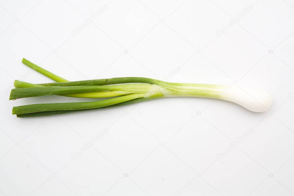 green onion isolated